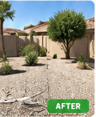 Clear driveway or yard