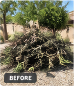 Yard Debris Removal: items awaiting removal